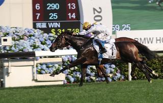 Hong Kong Derby caps Karaka graduates’ weekend wins. Photo: HKJC.